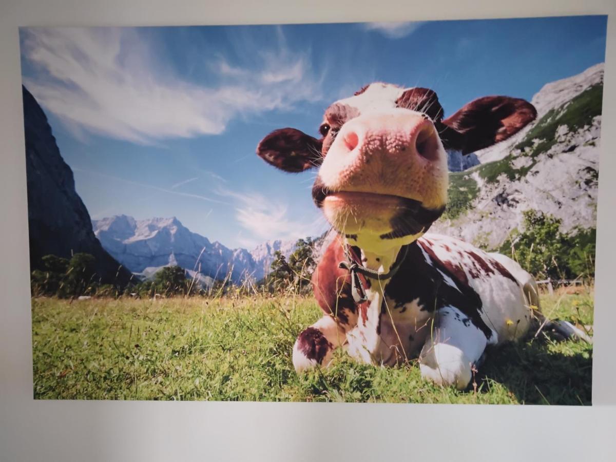 Zuhause In Hofs ,Leutkirch Im Allgaeu المظهر الخارجي الصورة